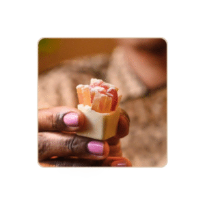 Caixinha de frutas cítricas