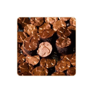 Medalhão de chocolate