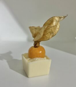 Tartelette de Physallis